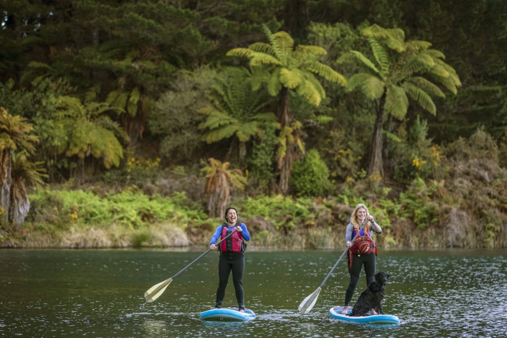 Stand-up-Paddeln über den Lake Rotoiti