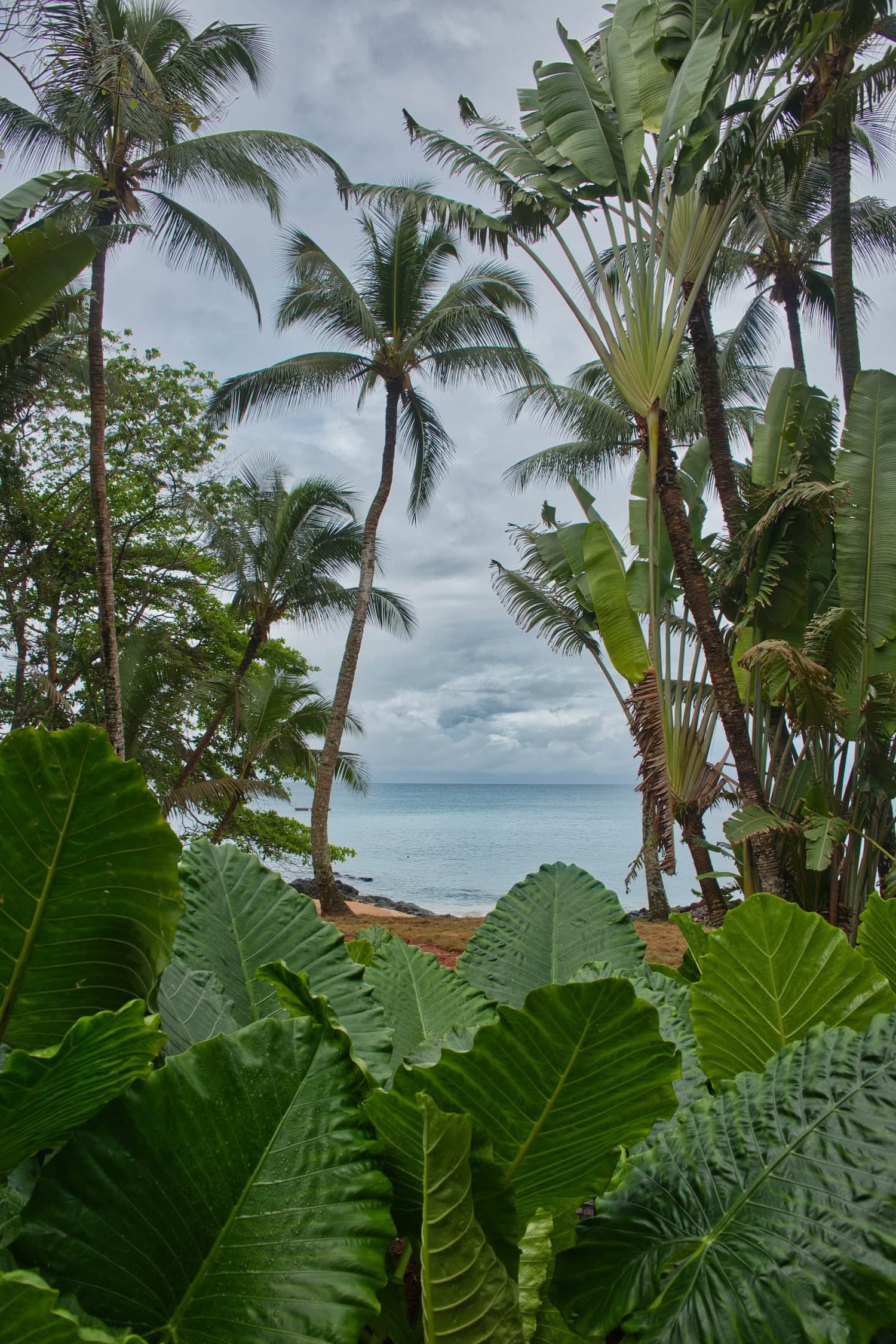 Natur pur auf der Insel Príncipe mit Blick auf das Meer