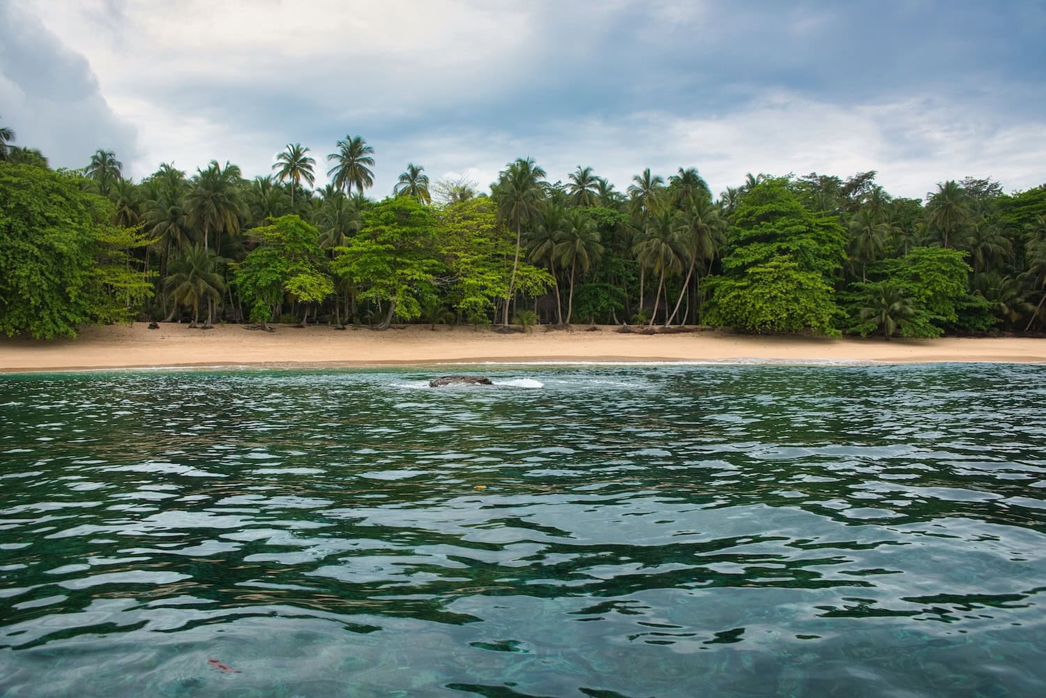 verlassener und unberührter Strand mit Palmen an der Küste von Príncipe