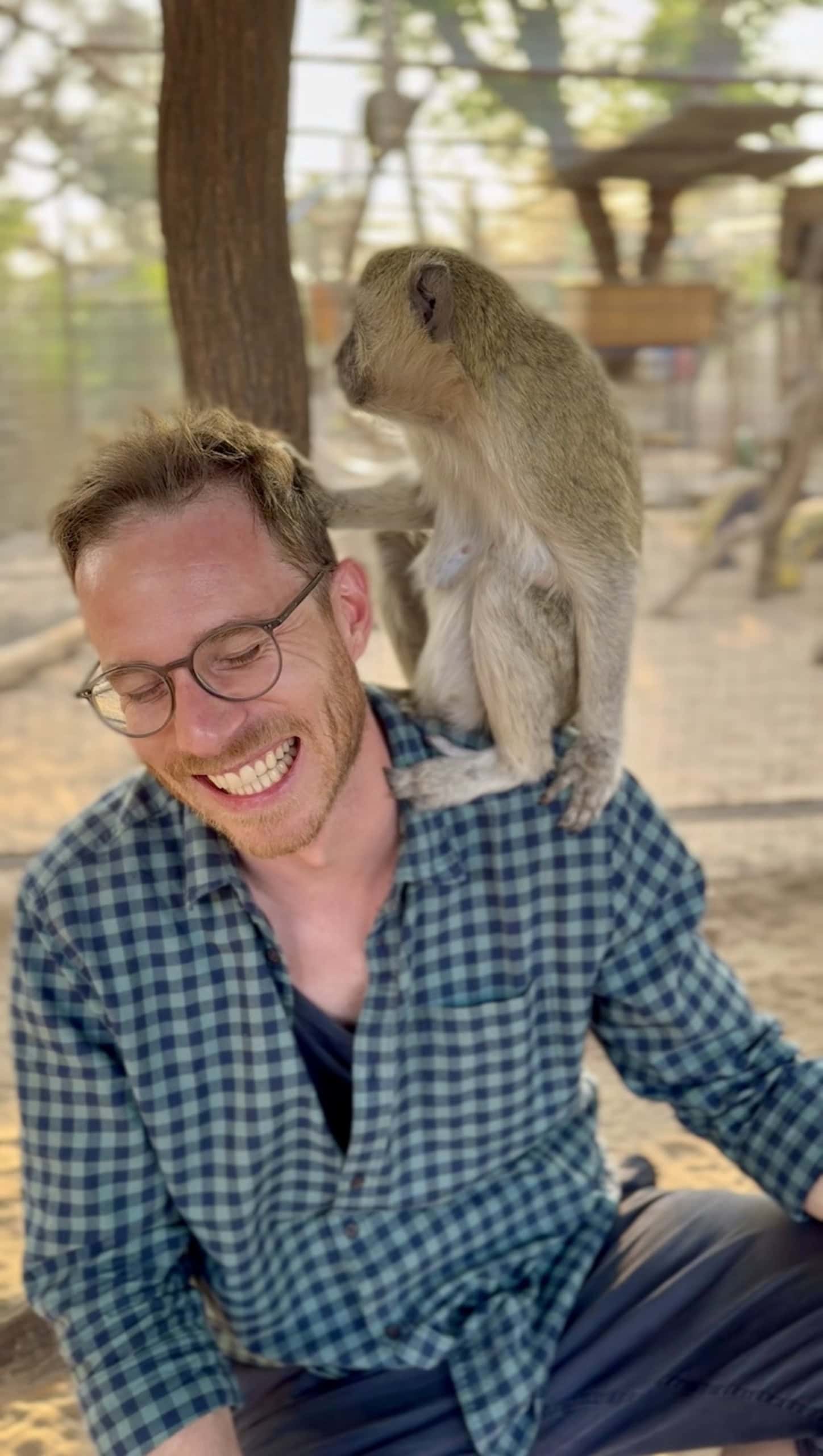 Kinderbuchautor Christoph Karrasch mit einem Affen in Namibia