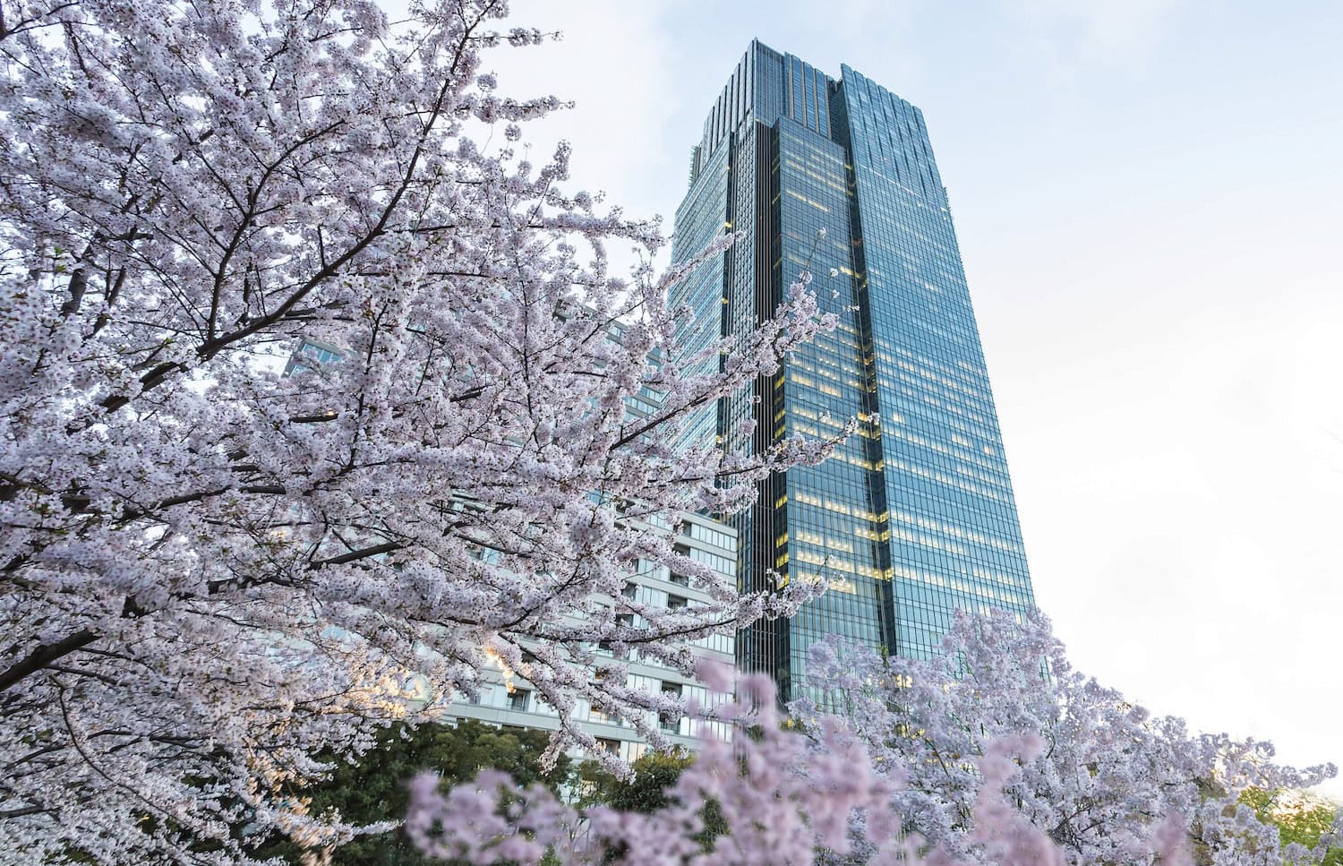Hoteltest: Nach 18 Jahren waren wir wieder im The Ritz-Carlton Tokyo