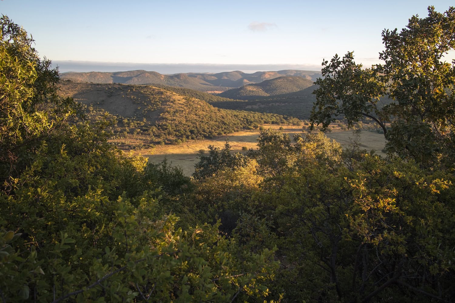 Meteoriten-Einschlag: Vredefort Dome in Südafrika