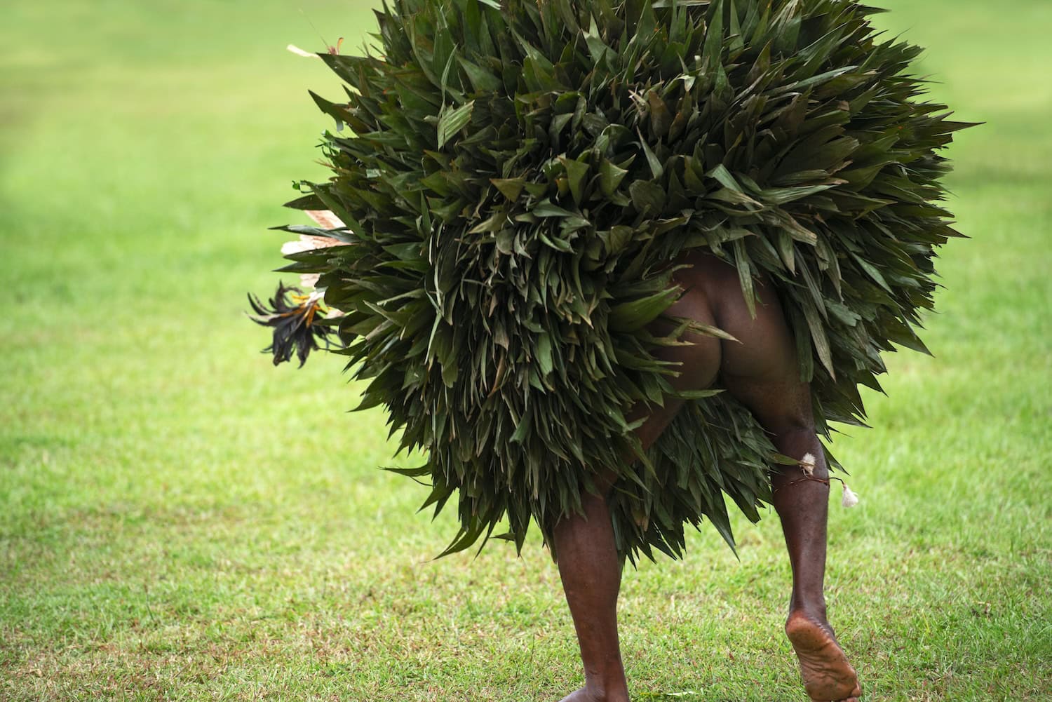 nackter Popo eines der Tänzer auf dem Maskenfest in Kokopo in Papua-Neuguinea