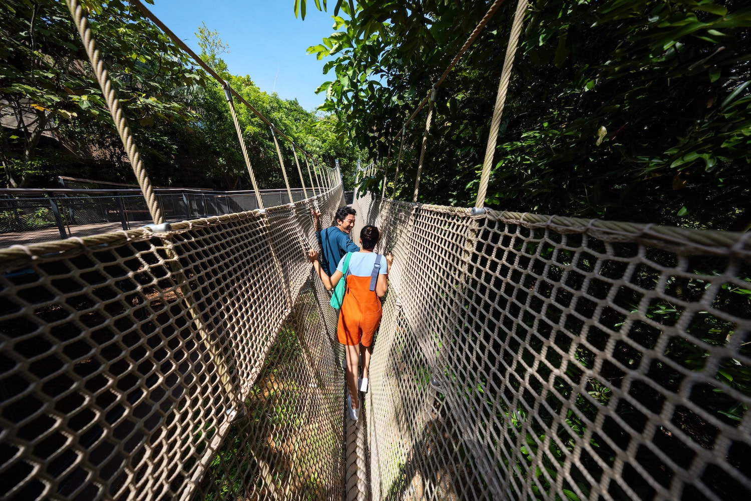 zwei Menschen auf der Tiger Bridge im Regenwald in Singapur