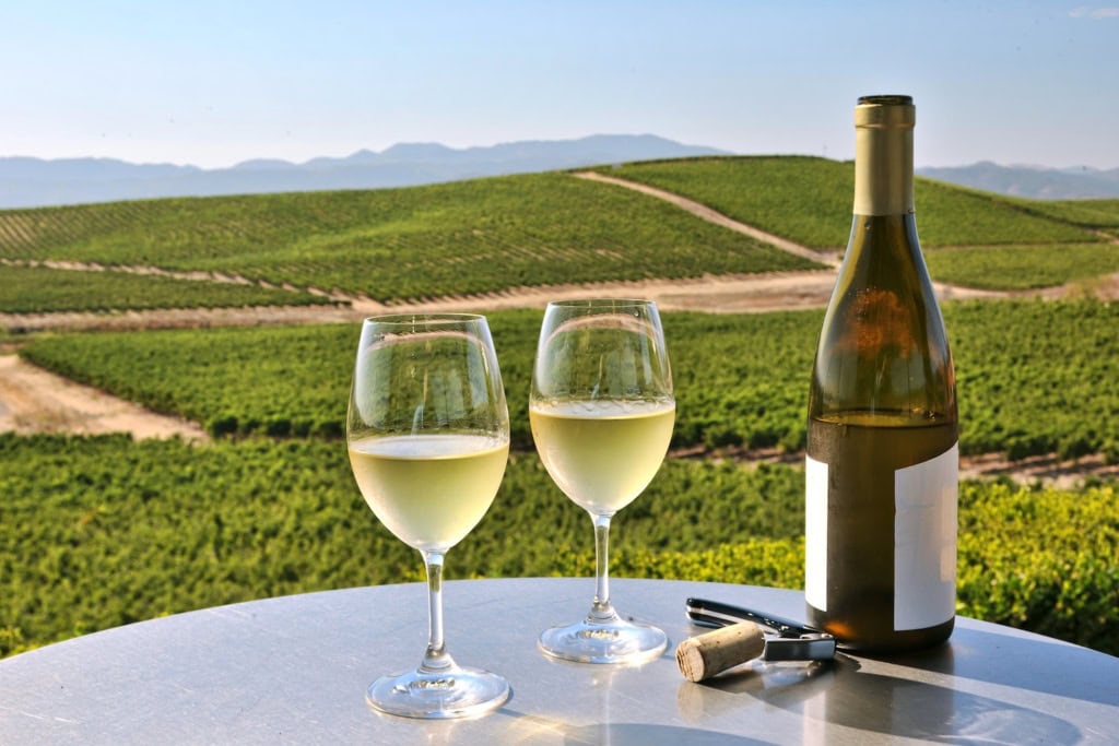 Food Reise Hinterland Malaga; Zwei Weingläser vor einem Weingut in der Nähe von Malaga