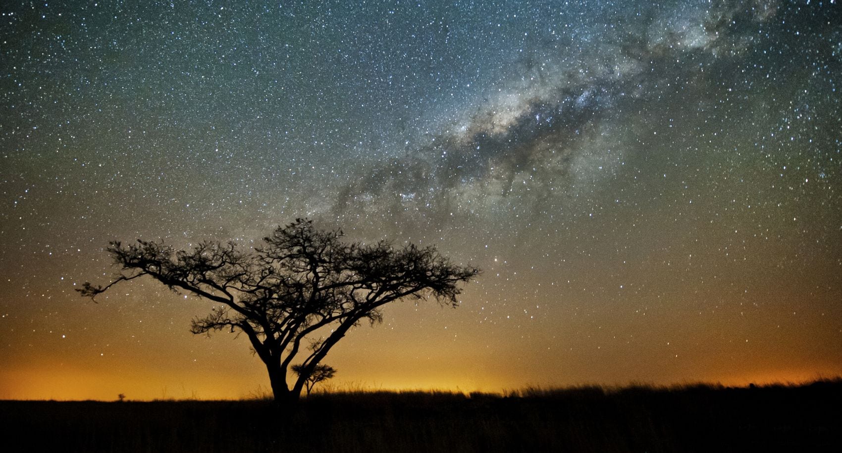 Sternenhimmel in der Savanne in Afrika 