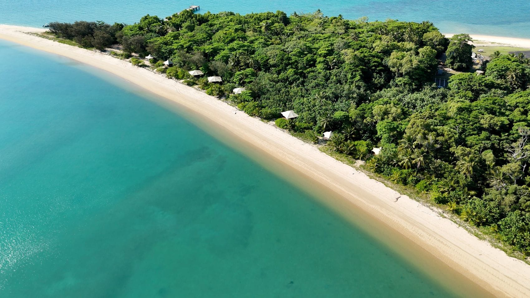 Zelte vor Strand auf Insel Dunk Island aus Vogelperspektive 