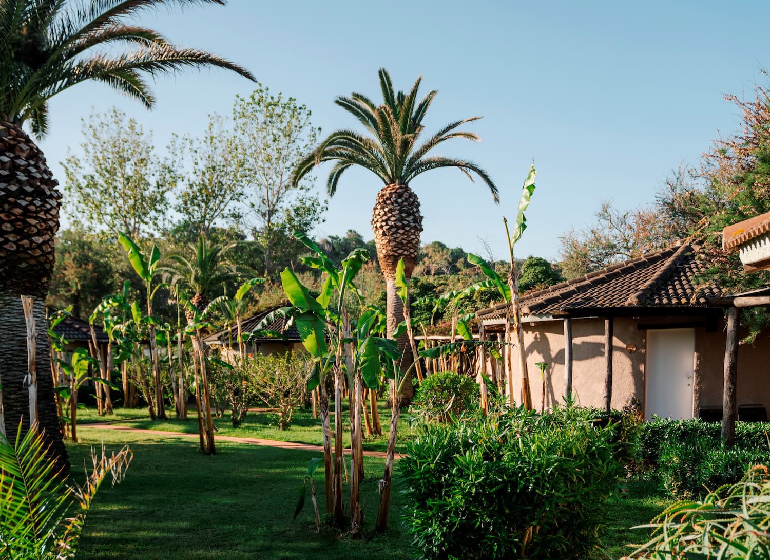 Garten des Baia del Sole mit Palmen, grünem Rasen und zwei braunen Stein-Bungalows