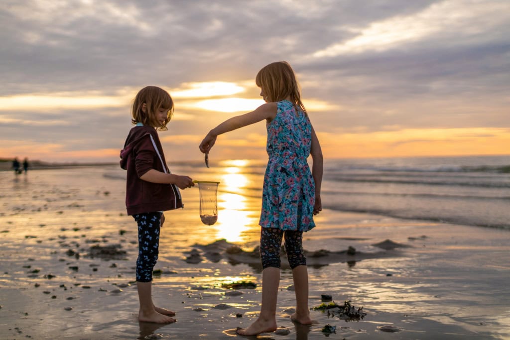 Zeeland mit Kindern: Mädchen fangen mit Kescher Meerestiere bei Sonnenuntergang