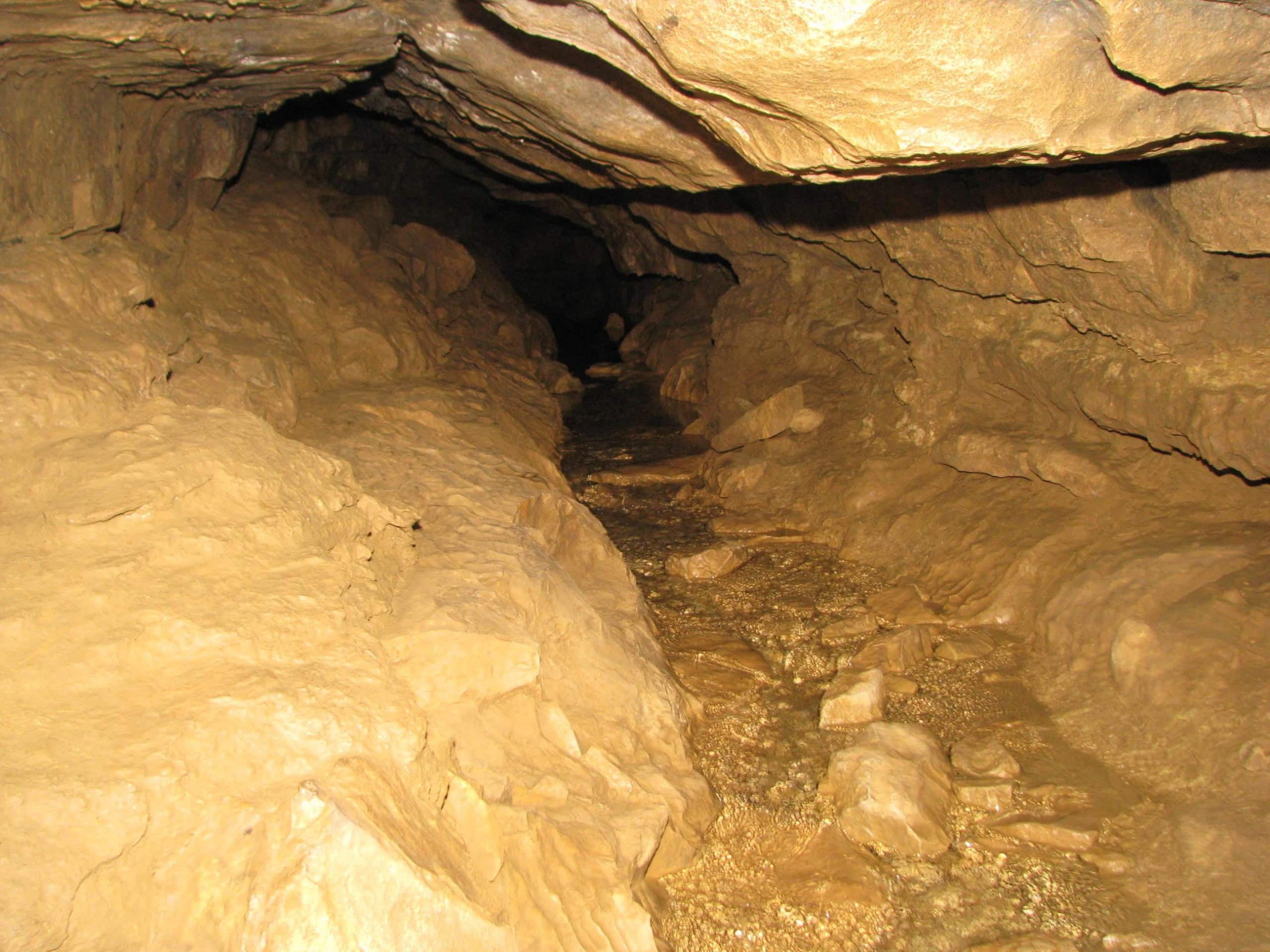 Falkensteiner Höhle innen