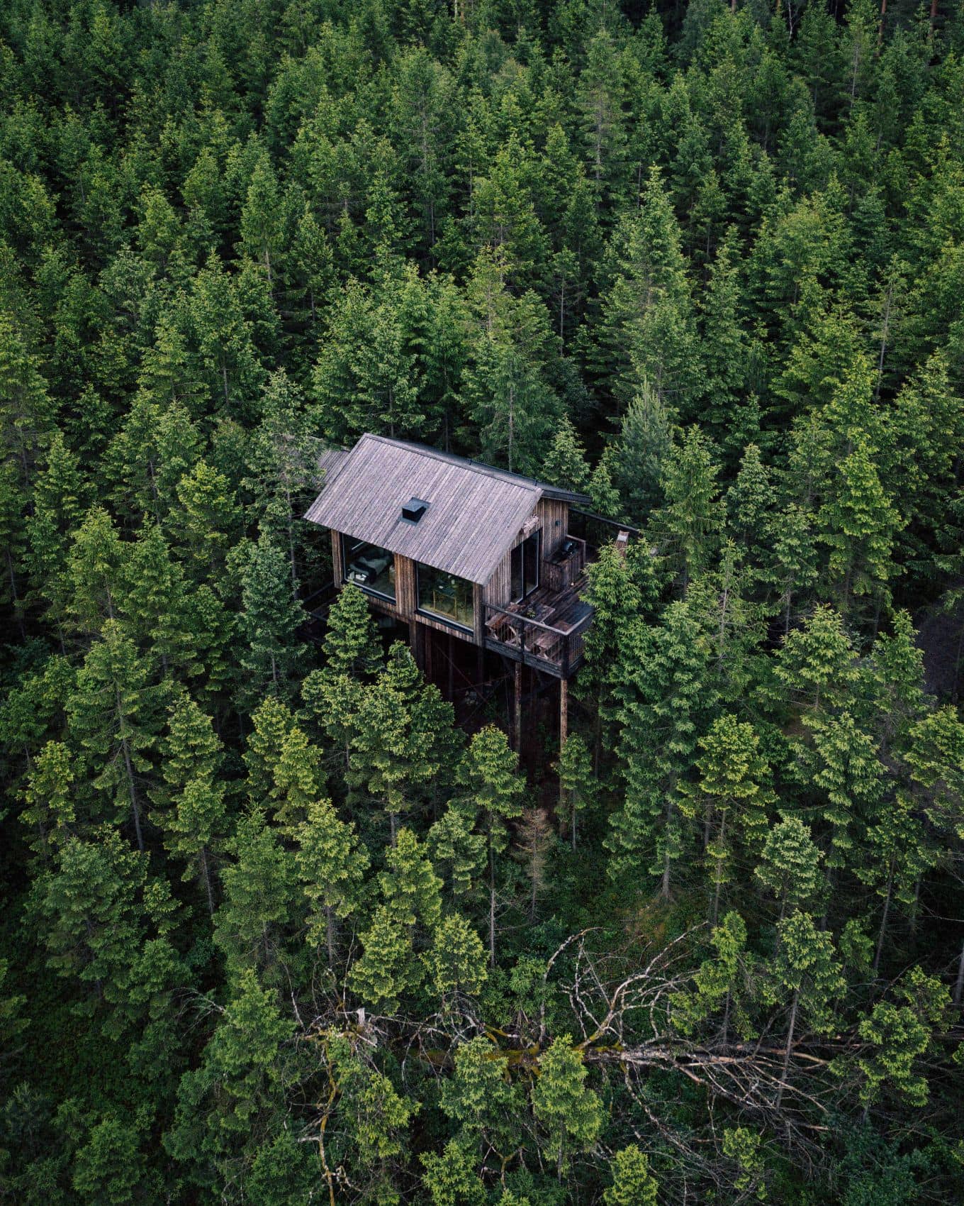 Baumhaus im Hyssna Forest Resort aus der Vogelperspektive 