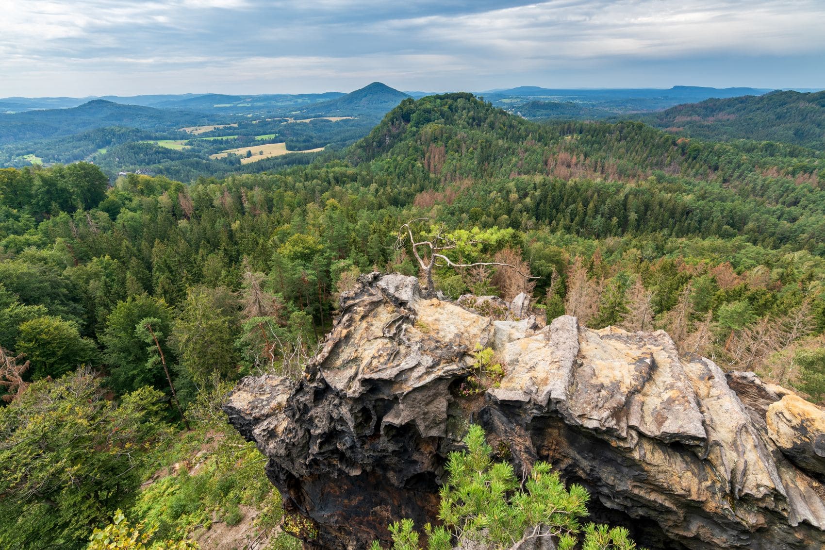 Jetrichovice-Aussichtsturm im Nationalpark Böhmische Schweiz