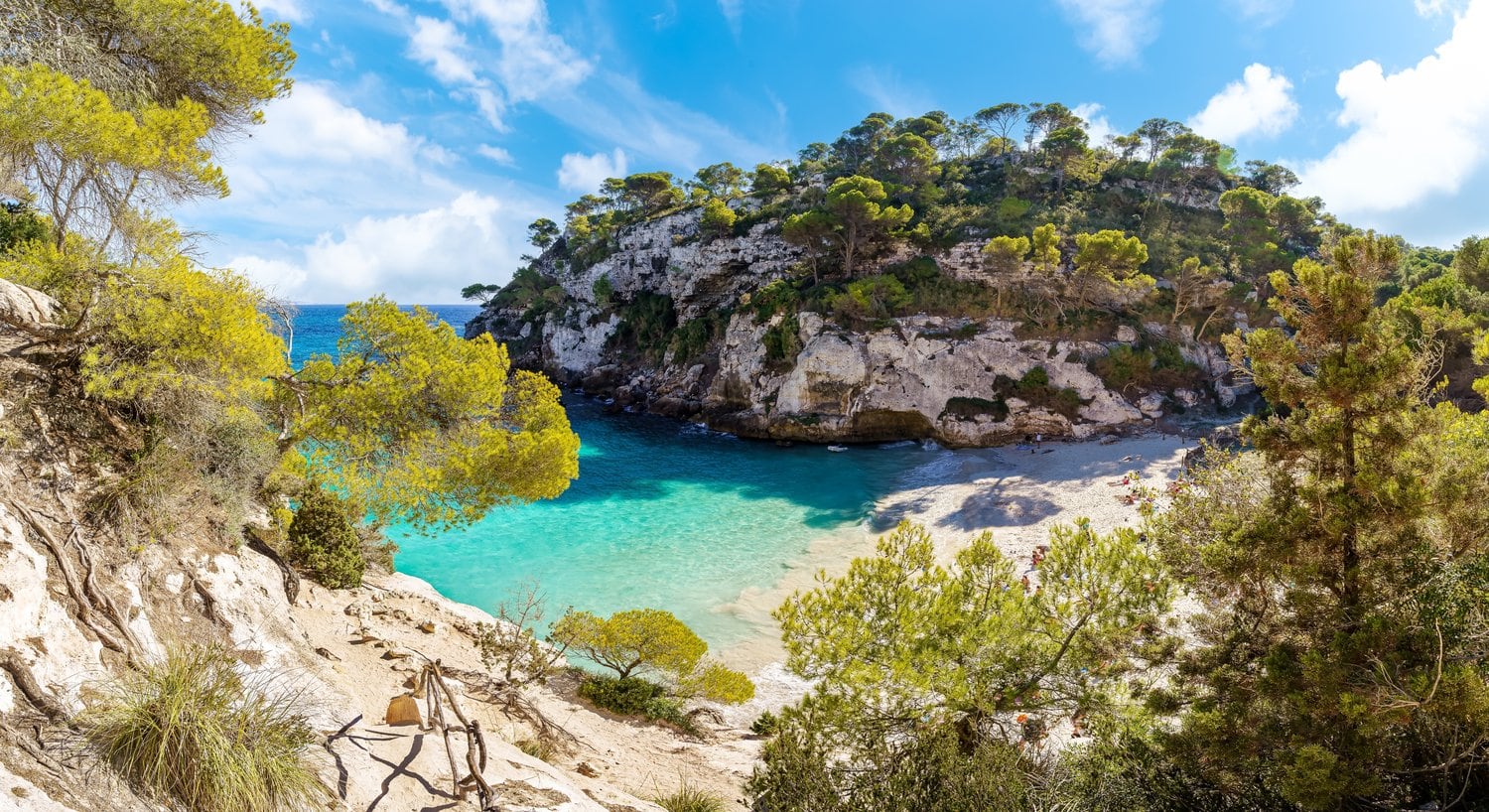 Panoramablick auf die geschützte Bucht Cala Macarelleta mit türkisblauem Wasser, weißem Sandstrand und Pinienwald an den Kalksteinklippen, Menorca