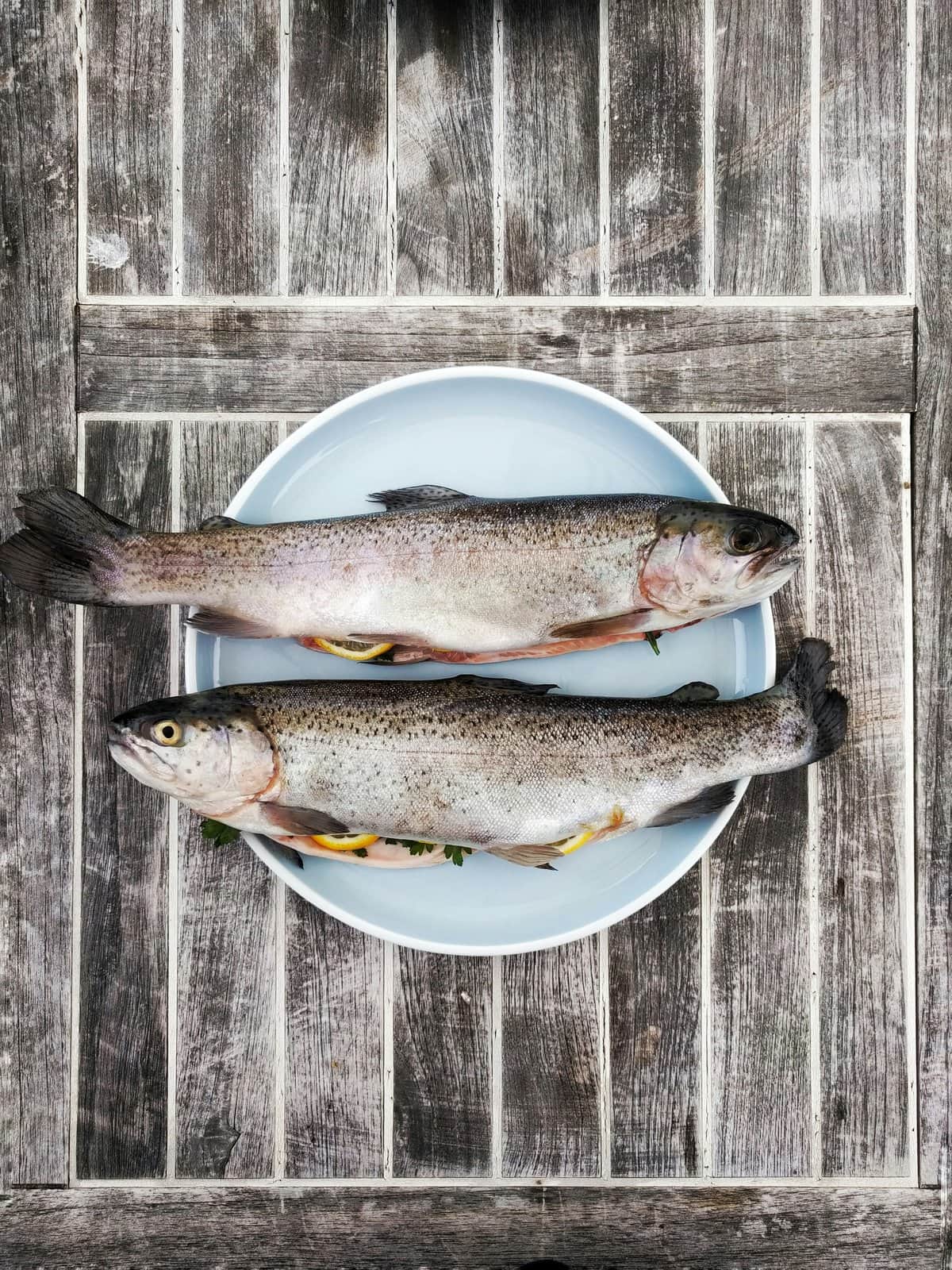 Zwei ganze frische Fische auf hellblauem Teller mit Zitrone und Kräutern, von oben auf rustikalem Holz