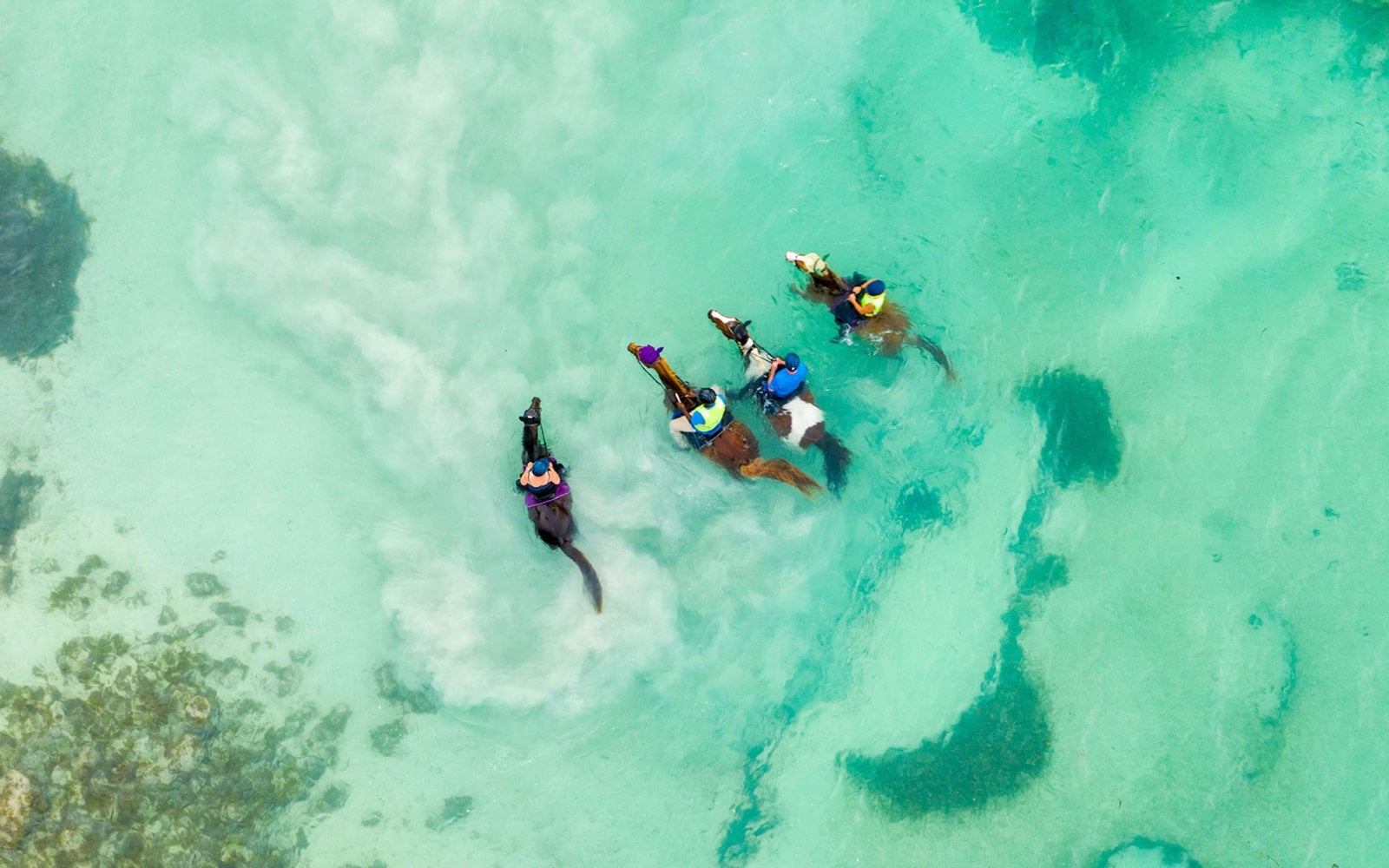 Luftaufnahme von Reiterinnen mit ihren Pferden im flachen, türkisfarbenen Karibikwasser vor Mustique.
