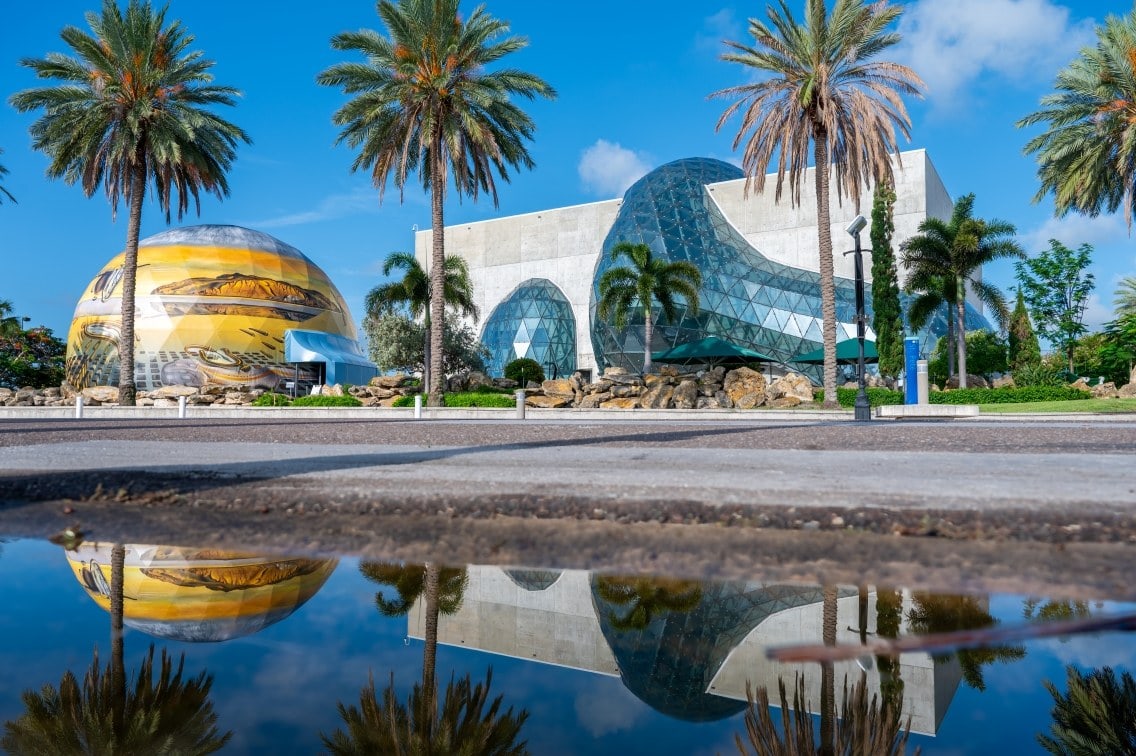 Das Dalí Museum in St. Petersburg mit geschwungener Glasfassade und goldener „Avant-garden"-Kuppel, gespiegelt in einer Wasserpfütze, umrahmt von Palmen