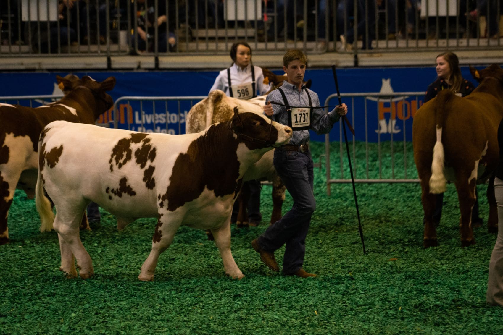 Teilnehmer beim Houston Livestock Show and Rodeo
