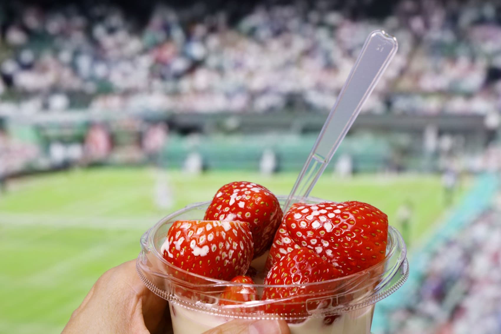Nahaufnahme eines Bechers mit Erdbeeren und Sahne in Wimbledon 