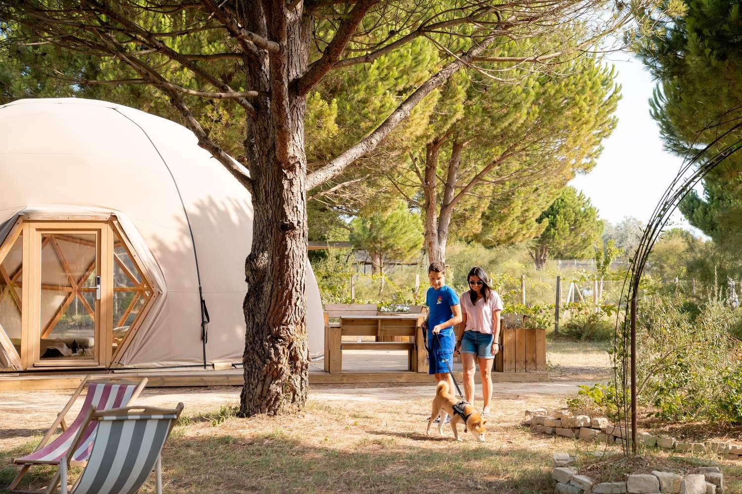 Junge Eltern und ihr Sohn führen einen Shiba Inu ander Leine vor einem cremefarbenen Glamping-Dome unter hohen Pinien.
