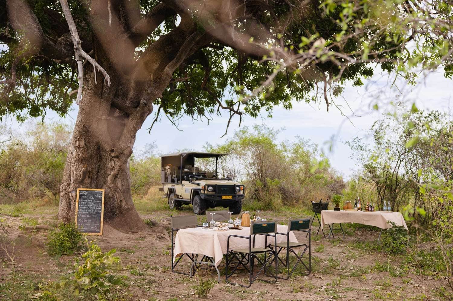 Gedeckte Tische für ein Bush-Dinner unter einem mächtigen Baobab, im Hintergrund ein offenes Safari-Fahrzeug zwischen Buschwerk.