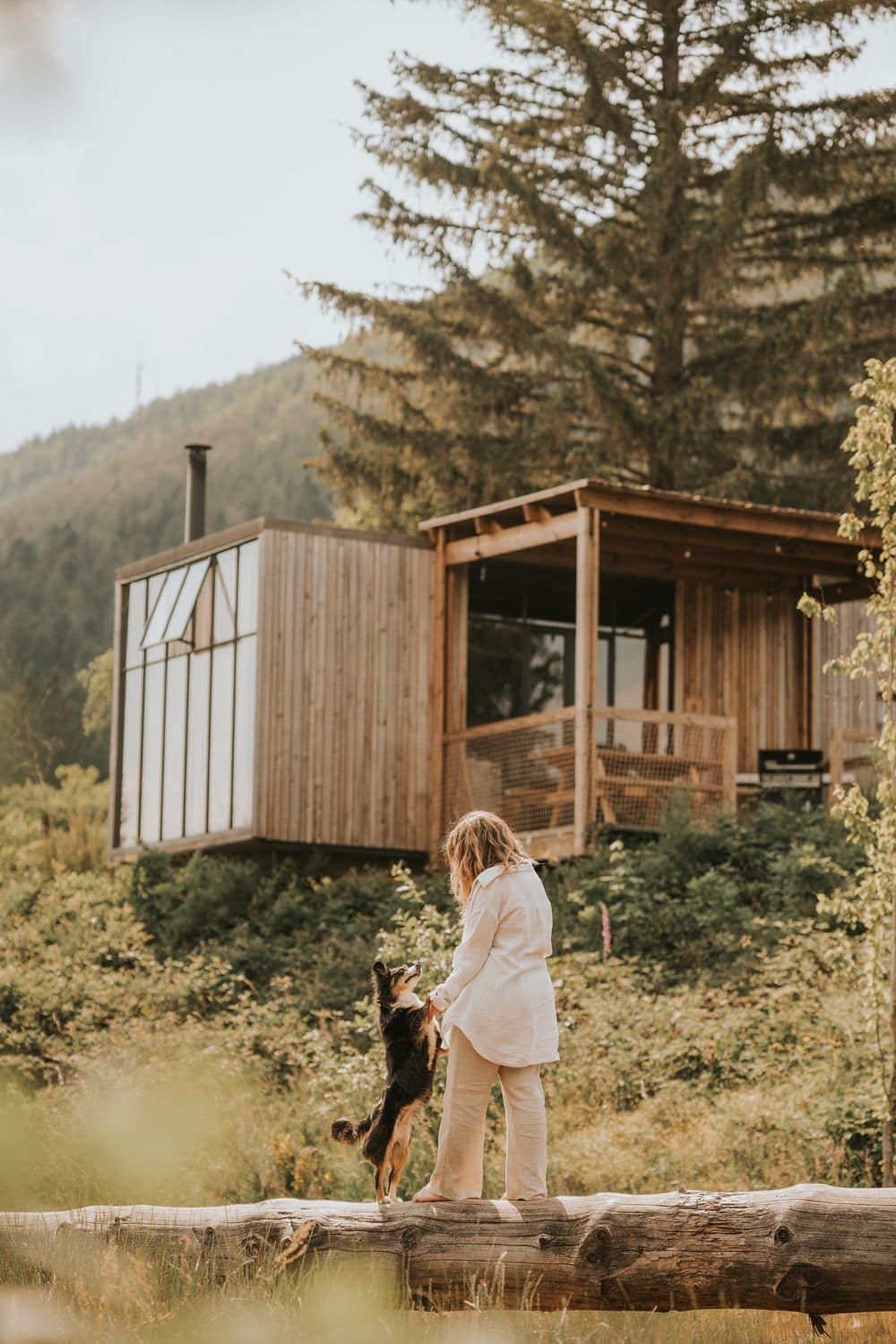 Frau in heller Kleidung balanciert auf einemBaumstamm und spielt mit einem Border Collie vor einer modernen Holz-Cabin im Wald.