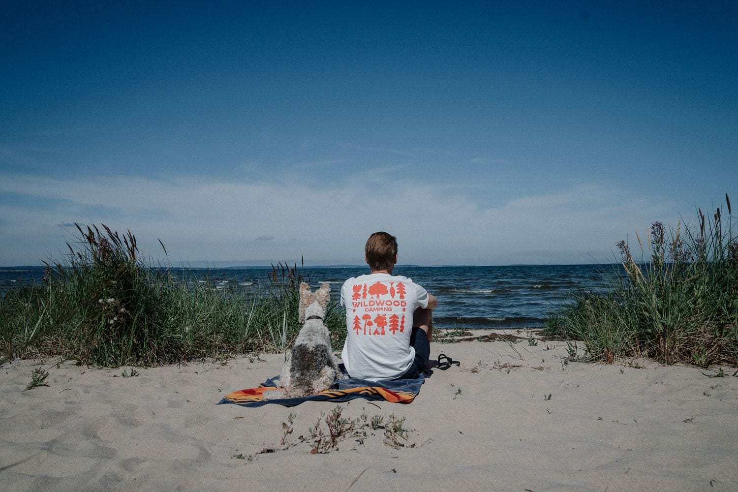 Mann im Wildwood-Camping-Shirt sitzt mit einemweißen Mischling auf einer Decke am Sandstrand und blickt auf die Ostsee vor Rügen.