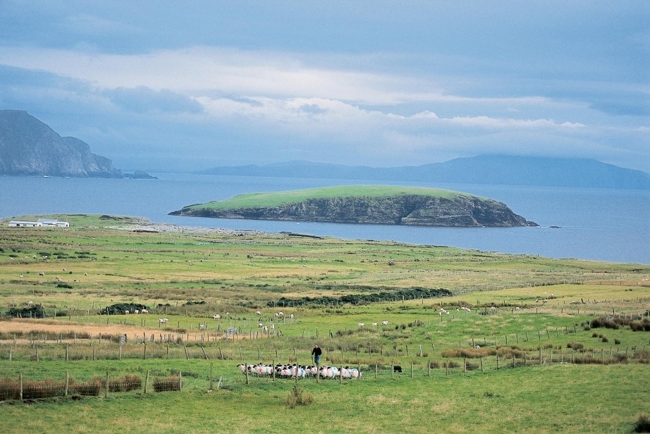 Erris