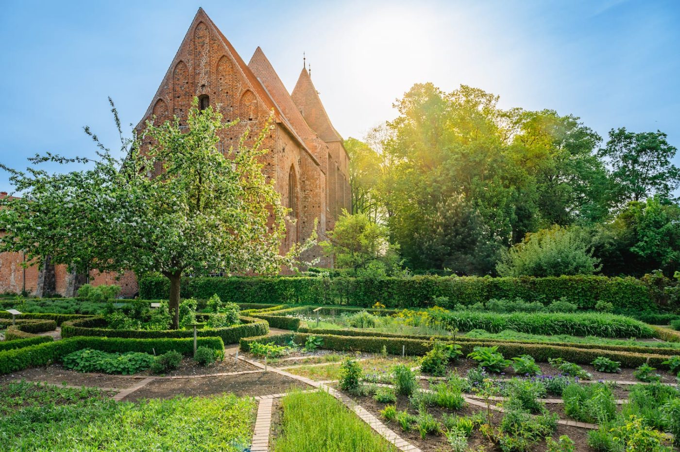 Der Klostergarten Rehna ist besonders für seine vielen Heilkräter bekannt. Foto: TMV/ Tiemann