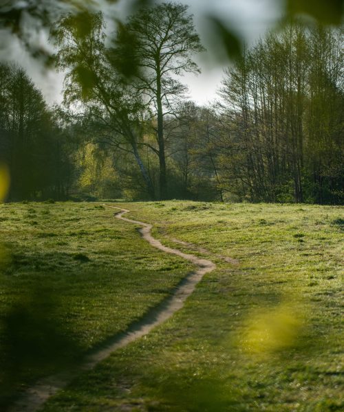 Fahrradweg führt durch die Wedeler Au in Schleswig-Holstein